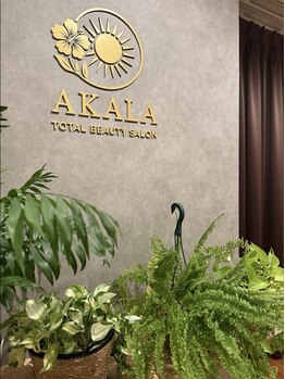 アカラ(AKALA)/店内では自然のような癒しを♪