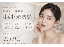 エルナ(Elna)