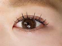 サレヤ(Sareya)/フラットラッシュ120本