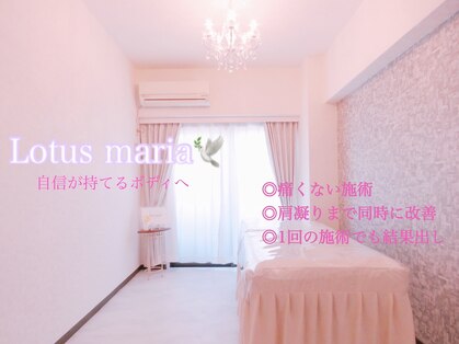 ロータスマリア(Lotus maria)の写真