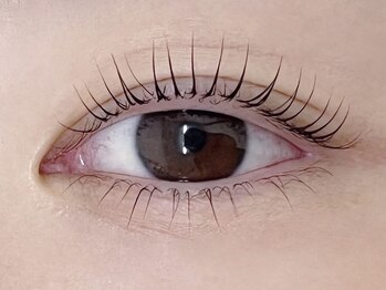 ムートン(mouton)/上Uカール下パリジェンヌ