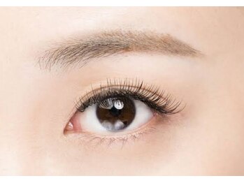 ワイプラス(Y + plus)/フラットラッシュ