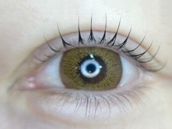 サロン ザ ビューティ(SALON THE BEAUTY)の写真/マツエク、まつ毛パーマどちらもお目元に似合うように施術致します♪