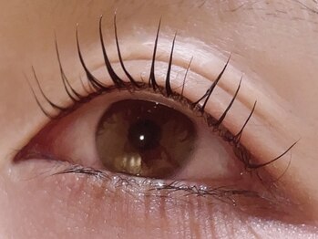 カラン 焼津店(CALIN)/シンプリフィ