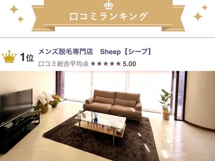 シープ(Sheep)の写真