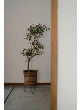 ビューティーホームサロン(Beauty Home Salon)/