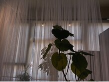 マンツーマン施術なので、周りを気にせずリラックスできます。