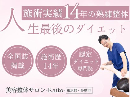 カイト(Kaito)の写真