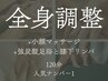 【人気No.1】全身調整120分|じっくり疲労回復【強炭酸足浴と膝下リンパ付】