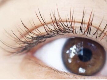 メルエモア(MEREMOR)の写真/【お洒落で一味違う目元へ大変身!】まわりと差をつけたい方に◎初めてのカラエクの方にもオススメです♪