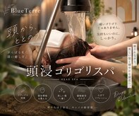 ブルーテーフ(Bleu Terre)