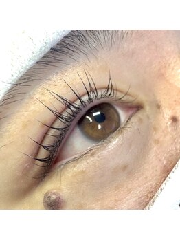 ボス(VOSS)/韓国式マスカラパーマ