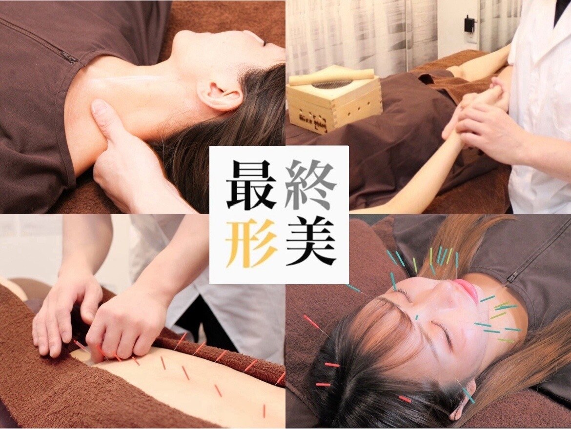 【美品】手技療法師のための内科学　カイロプラクティック/整体/整骨院/鍼灸 カイロプラティックオフィス みゆき施術院 - 茨城県のカイロ