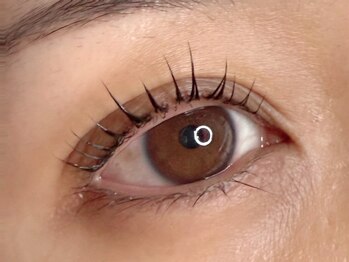 ラシク ゼロ 草加駅前(Lashiku Zero)/パリジェンヌラッシュ