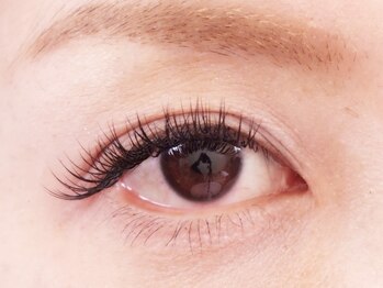 ブルーフォレスト/ボリュームコース