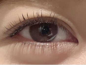 カラン 焼津店(CALIN)/フラットラッシュ120本