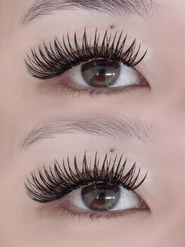 アトリエ ボノ(BONO)/メガフラットラッシュ80束