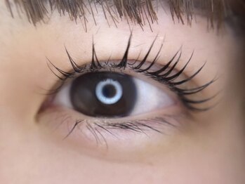 アイボーテ バイ シュエット 本店(eye beaute by chouette)の写真/根元から立ち上げ、魅力あふれるぱっちり目元に♪【次世代まつげパーマ☆ドーリーラッシュリフト¥5720】