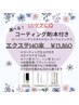 【5～6月限定】選べるコーティング剤1本付☆エクステ140本￥20,900→￥13,860