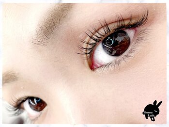 バニーラッシュ(Bunny Lash)/【パリエク】