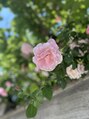 バストアップ&育乳美容整体 Via東京 池袋店【9月中旬 NEW OPEN(予定)】/あゆ