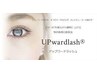 2回目同価格【UPwardlash+フラットラッシュ200本】オフ込 ¥13000