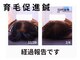 アンスリウム美容整体院 鍼灸院 接骨院の写真