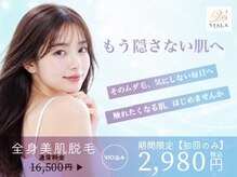 ビアラ(VIALA)