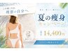 【8月限定】全身ボディメイクダイエットオイルマッサージ90分<夏に本気痩せ>