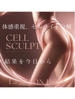 ラサロンホープ 西麻布(La.SALON HOPE)の写真/【強力吸引シェイプケアコース】ボディタイプに適したマシンをセレクト。気になる箇所を中心的にケア
