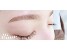 アイラッシュサロン ブラン アリオ鷲宮店(Eyelash Salon Blanc)/美眉スタイリング￥6050