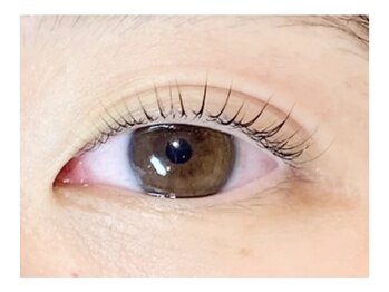 アイブロウ アンド アイラッシュ アイランド(ISLAND)/まつげパーマ