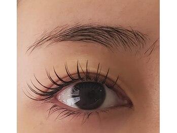 ピンクラッシュ(PINK LASH)/フラットラッシュ120本