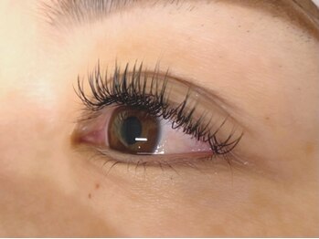 ウルカ アイラッシュ(uruka EYELASH)/フラットラッシュ　140本