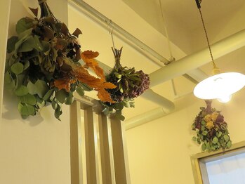 ププカニ(pupuKani)/