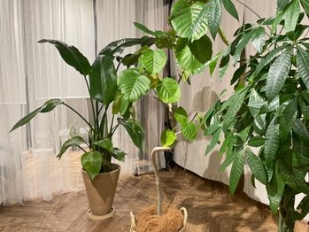 菫鍼灸院の写真/【駅徒歩1分/貸し切り空間◇】周りを気にせずリラックス♪貸し切りだから叶う落ち着きがある空間をご提供♪