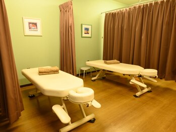 アース鍼灸整骨院の写真/【二人だけの貸切空間】国家資格者の本格整体をペアで！《肩こり・腰痛・骨盤矯正》お悩み別ケアを同時に♪