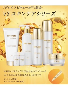 リュクスアンドコー 上田店(Luxe&co.)/VOS 【 C-LINE 】