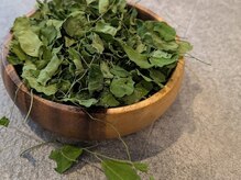 ミジタク 京都二条店(mijitaku)の雰囲気（効果実感の高い〈モリンガ〉や〈大和当帰〉もぜひお試しください）