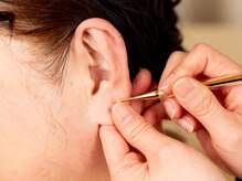 ラ フィーナ(La fina)/