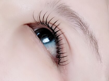 千草(Chigusa)の写真