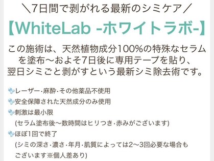 三美創ビューティースタジオ 富山店の写真