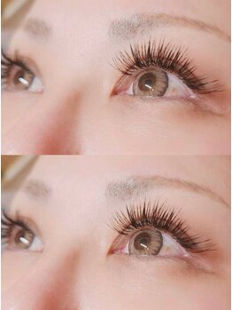 キャッツアイ(cat's eye)/ボリュームラッシュ 160束