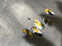 ネイルスミス(Nailsmith)/モダンアートピーコック