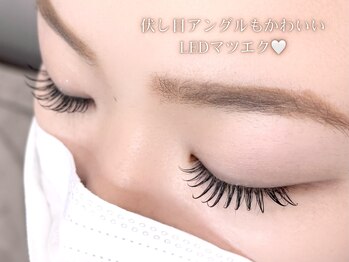 ラカ 伊那店(LaKa)/LEDフラットラッシュ〈120本〉