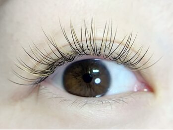 エム ラッシュ(M Lash)/フラットラッシュ140本