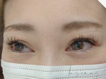 ラシェスキタモト (luscius kitamoto)/フラットラッシュ140本