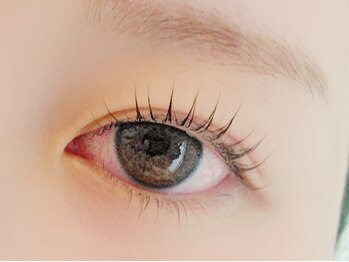 ルーチェ(Luch)/上下ラッシュリフト