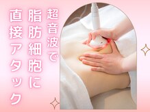 キレイサローネ 池袋東口店(KIREI SALONE)/超音波で脂肪細胞に直接アタック