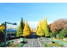 ザ アロマ スパ 青山(THE AROMA SPA AOYAMA)/外苑前イチョウ並木を独り占め